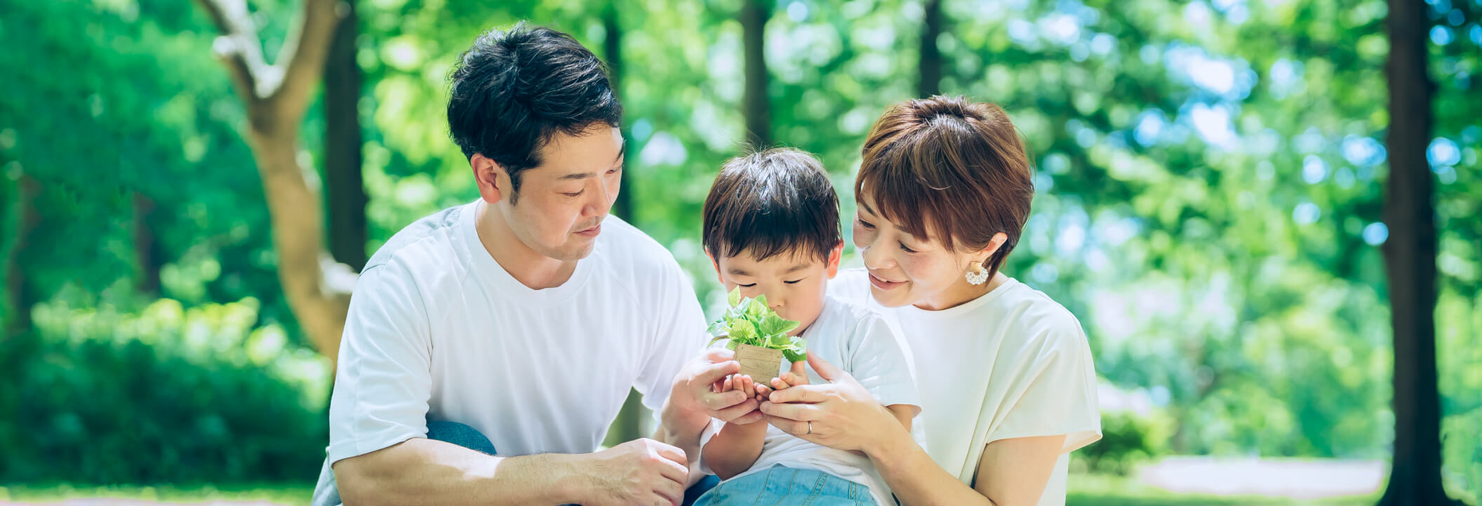 サステナビリティ